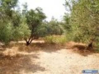 North-West Crete :: Building Land For..