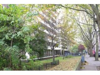 1 bed flat to rent