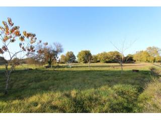 27204 - Vente - Terrain - Vergt