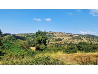 Istra,Momjan-Građevinsko zemljište s ruševinom