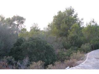 Large And Flat Plot, With Views To..