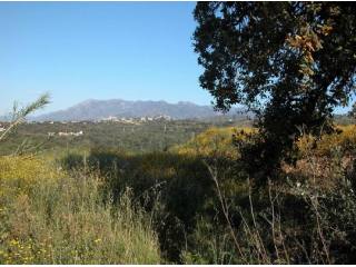 Land for sale in Las Cumbres, Marbella..