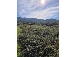 Fantastična prilika za vlastiti vinograd ili voćnjak