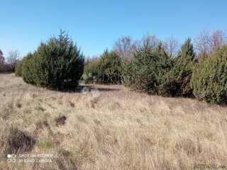 Poljoprivredno zemljište u blizini sela iznad same Limske d