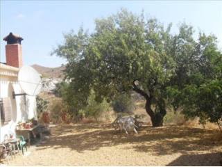Country House For Sale In Lubrin..