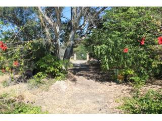 Plot in Denia