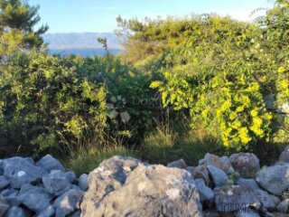 POLJOPRIVREDNO ZEMLJIŠTE 1360 m² – OTOK VIR (650 METARA OD M