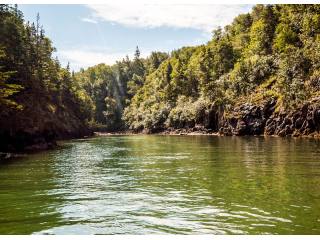 Land For Sale: Black Hole Road Black..