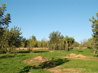 Lovely Building Plot In Santa Maria
