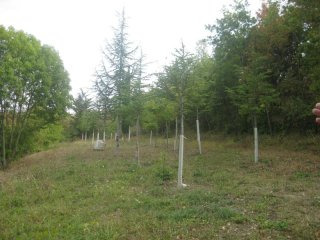 Villa - Languedoc-Roussillon - For Sale