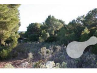 Flat Plot Of 3.797 M2 In One Of The..