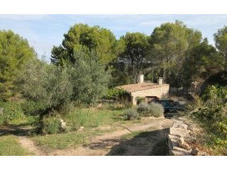 IP2-3771 - Plot For sale in Calvia..