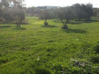 Land in Larnaca, Cyprus, for Sale -..