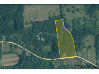 Zemljište 12.159 m², nedaleko naselja Barat