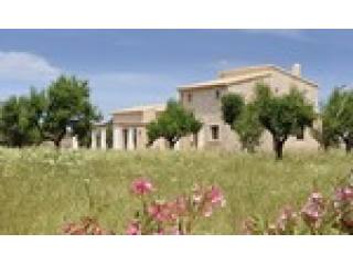 4 Bedrooms - Finca - For Sale