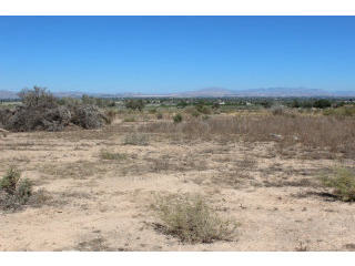 - Land - For Sale