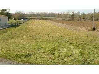 Site