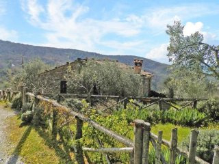 House - Umbria - For Sale