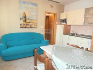 VRSAR-kuća sa 6 stanova, 300m od mora