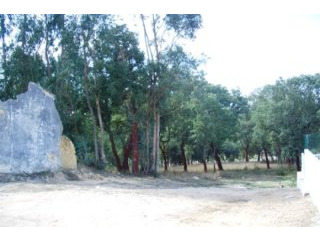Land