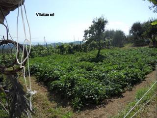 Country/farmhouse - For Sale - Coastal..