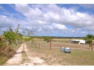 Property For Sale: Premier Stud Farm..