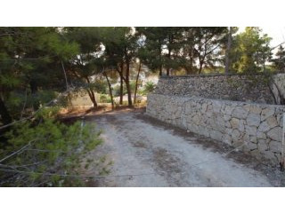 0 Bedroom 0 Bathroom Large plot for..