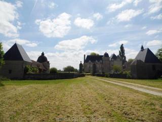5 bedroom Castle For Sale: 61250 ALENCON