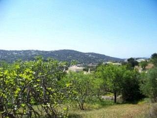 Te Koop: Bouwkavel In Centraal Algarve..
