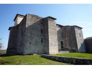 6 bedroom Castle For Sale: 32000 GERS