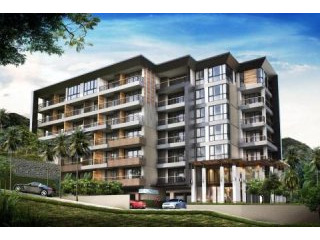 1382d : Patong Beach, Phuket