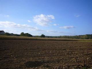 Condat sur Trincou (24530)