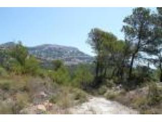Plot, Alicante (Costa Blanca), Urlisa..