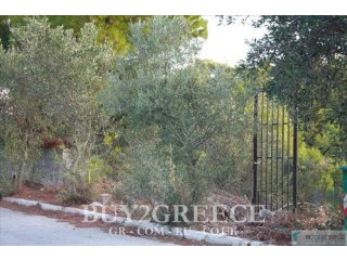 Β838 - FOR SALE 2 PLOTS OF 1039m2 AND..