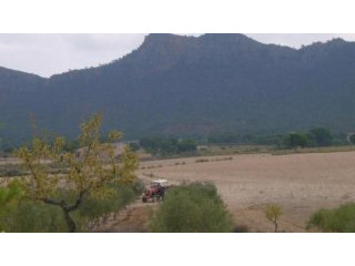 1 bedroom Apartment in Jumilla (Ref...