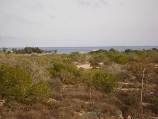 - Land - Famagusta - For Sale
