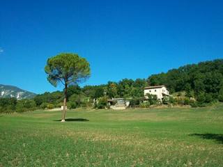 Stunning detached property with land to..