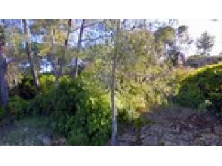 - Land - For Sale