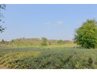 Top investment: Large sloped sea view..
