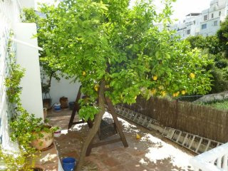 4 Bedrooms - Town House - Malaga - For..