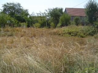Land in Cetinje