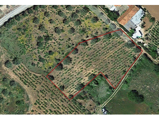 Building Plot For Sale Near Ferreira Do..