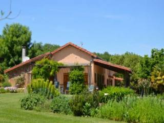 25 acres of pure Gascony. Large..