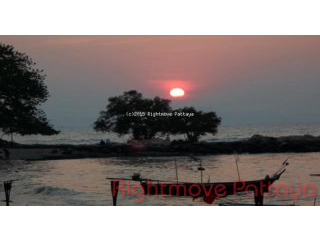 1 Bedroom Condo for sale in Wongamat -..