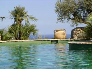 Exclusive country house with sea views