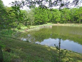 Lake Set On Approximately 5.3 Acres Of..