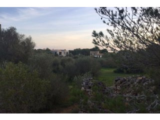 Plot in Cala Santanyi, near Sa torre..