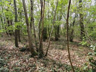 25130 - Vente - Terrain - Vergt