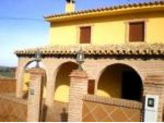 Villa, Jaen, Alcala La Real, Seeds