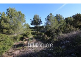 Large plot of over 5000m2 within..